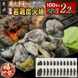 【ふるさと納税】【新春福袋★2026】≪超小分けパック≫職人手焼き！国産若鶏炭火焼2.2kg - 国産若鶏 もも・むね 2.2kg 小分け 期間限定 福袋 送料無料 AA-3311-F2026【都城市は2年連続ふるさと納税日本一！】