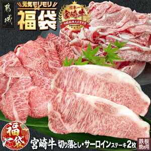 �y�ӂ邳�Ɣ[�Łz�y�V�t���܁�2026�z�{�苍�؂藎�Ƃ��E�S�Ă��p�T�[���C��2���Z�b�g - �u�����h���� ���o���؂藎�Ƃ���/���E�f�E�������؂藎�Ƃ��� �e500g ���� ���Ԍ��� �������� AE-250