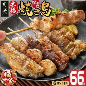 【ふるさと納税】【新春福袋★2026】職人串打ちの本格焼き鳥66本！！ - 焼鳥串 生冷凍串 66本 鶏肉 国産 小分け 焼き鳥 期間限定 福袋 送料無料 MJ-3312-F2026【宮崎県都城市】