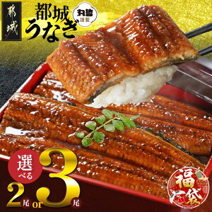 yӂ邳Ɣ[ŁzyVt܁2026zyeʂIׂIz{茧炿̂ȂāREt - ^pbN Iׂe 2/3  Ԍ   SKU-M301-F2026 y{茧
