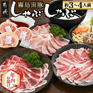 yӂ邳Ɣ[ŁzyN͂z{茧Y؂ԂԃZbg 3퐷(3`4lO)2025N1215`31͂ - Ԃ [X [X o Ԍ N N͂