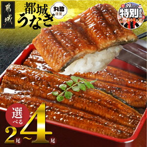 yӂ邳Ɣ[ŁzyԌʋKiIIzsr[Ly[{ItyeʁIׂIz{茧炿̂ȂāREt - ^pbN Iׂe 2/3
