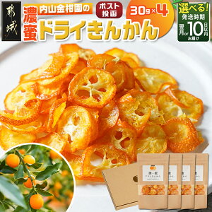 �y�ӂ邳�Ɣ[�Łz�y���Ԍ�����ʋK�i�I�I�z�y�����������I�ׂ�I�z�Z���h���C���񂩂�4�p�b�N���|�X�g���� - �ʕ� �t���[�c �Z�� ���x16���ȏ� �X�C�[�c ����� ������ ���� 30g×4�p�b�N 10