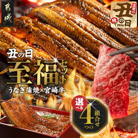 【ふるさと納税】【丑の日】【内容量が選べる！】宮崎県育ちのうなぎ蒲焼≪山椒・たれ付≫＆宮崎牛赤身(ウデorモモ)焼肉≪7月20日〜25日お届け≫ - 鰻 蒲焼 2尾/4尾 宮崎牛 焼肉用 500g 2パック/4パック 送料無料 SKU-MM01-UG【宮崎県都城市は2年連続ふるさと納税日本一！】