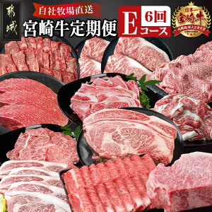 yӂ邳Ɣ[Łz{苍(6񂨓͂) ER[X - {苍  Ef o  u[X [X T[C XCX ؂藎Ƃ ubN N Ԍ  TAI6-2501y