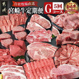 【ふるさと納税】宮崎牛定期便(5回お届け) Gコース - 牛肉 サーロイン 肩ロース ロース バラ イチボ トモサンカク ブロック スライス サイコロ 年末定期便 期間限定 送料無料 TAJ5-2501【宮崎県都城市は2年連続ふるさと納税日本一！】