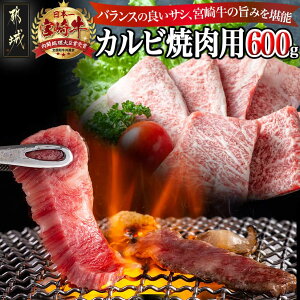 yӂ邳Ɣ[Łz{苍Jrēp600g - sY{苍 JrĂp 300g×2  ^pbN Jr uh јa ₫ Ⓚz  A4 A5 BBQ Y o[xL[  