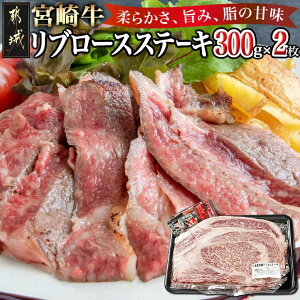 yӂ邳Ɣ[Łz{苍u[XXe[L300g×2 - d 600g 傤EXe[L\[Xt  Xe[L Ⓚz ~  傫 唻 uh Yјa r[tXe