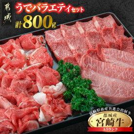 【ふるさと納税】【共進会牛】(A5)宮崎牛うでバラエティセット - 都城産 宮崎牛 ミスジステーキ うで焼肉 うで切り落とし A5ランク 第66回宮崎県畜産共進会 和牛品評会 送料無料 21-2502【宮崎県都城市は2年連続ふるさと納税日本一！】