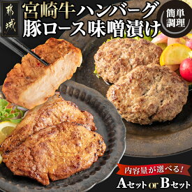 【ふるさと納税】【セット内容が選べる！】宮崎牛ハンバーグ・豚ロース味噌漬けセット - 宮崎県産 牛肉 豚肉 宮崎牛ハンバーグ 宮崎県産豚ロース味噌漬け 選べるセット Aセット/Bセット おかず お惣菜 送料無料 SKU-2502 【宮崎県都城市は令和4年度ふるさと納税日本一！】