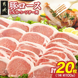 【ふるさと納税】豚ロースとんかつ・ソテー用20枚 - 豚肉 豚ロース とんかつ・ソテーに 100g×5枚入り×4パック 計20枚 豚 真空パック 冷凍保存 送料無料 AA-2506【宮崎県都城市は2年連続ふるさと納税日本一！】