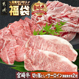 【ふるさと納税】【元気モリモリ福袋】宮崎牛切り落とし・鉄板焼き用サーロイン2枚セット - ブランド牛肉 牛バラ切り落とし肉/牛ウデ・牛モモ切り落とし肉 各500g 送料無料 AE-2501【宮崎県都城市は2年連続ふるさと納税日本一！】
