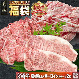 【ふるさと納税】【元気モリモリ福袋】宮崎牛切り落とし・鉄板焼き用サーロイン2枚セット - ブランド牛肉 牛バラ切り落とし肉/牛ウデ・牛モモ切り落とし肉 各500g 送料無料 AE-2501【宮崎県都城市は2年連続ふるさと納税日本一！】