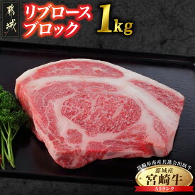 【ふるさと納税】【共進会牛】(A5)宮崎牛リブロースブロック1kg - リブロース ブロック肉 1kg 肉のながやま 霜降り 牛肉 第66回宮崎県畜産共進会 和牛品評会 A5 真空 送料無料 AF-2503 【宮崎県都城市は2年連続ふるさと納税日本一！】