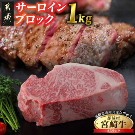 【ふるさと納税】【共進会牛】(A5)宮崎牛サーロインブロック1kg - サーロインブロック 都城産 宮崎牛 肉のながやま 牛肉 ステーキ ブランド牛 サーロインステーキ 第66回宮崎県畜産共進会 和牛品評会 送料無料 AI-2504 【宮崎県都城市は2年連続ふるさと納税日本一！】