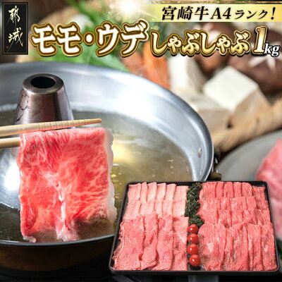 【ふるさと納税】都城産宮崎牛モモ・ウデしゃぶしゃぶ用 - 国産黒毛和牛 ...