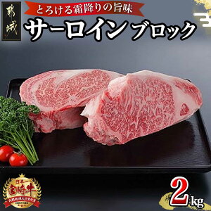 yӂ邳Ɣ[ŁzyeʂIׂIzsY{苍T[CubN - ubN Iׂe 1kg/2kg ̂Ȃ Ў  Xe[L uh T[CXe[L Ε N