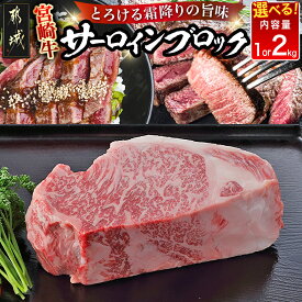 【ふるさと納税】【内容量が選べる！】都城産宮崎牛サーロインブロック - ブロック肉 選べる内容量 1kg/2kg 肉のながやま 自社飼育 牛肉 ステーキ ブランド牛 サーロインステーキ お歳暮 年内お届け 送料無料 SKU-2501 【宮崎県都城市は2年連続ふるさと納税日本一！】