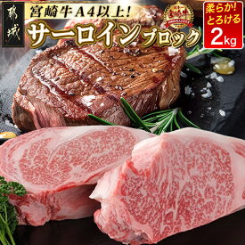 【ふるさと納税】【内容量が選べる！】都城産宮崎牛サーロインブロック - ブロック肉 選べる内容量 1kg/2kg 肉のながやま 自社飼育 牛肉 ステーキ ブランド牛 サーロインステーキ 送料無料 SKU-2501 【宮崎県都城市は2年連続ふるさと納税日本一！】