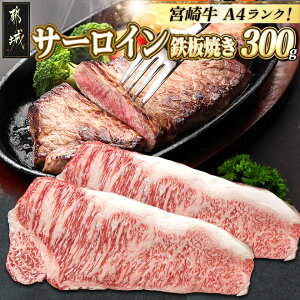 yӂ邳Ɣ[ŁzyIׂzsY{苍T[CSĂp - 150g×2Zbg A4N Yјa _炩 Ƃ낯 SĂpXe[L r[tXe[L 