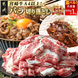 【ふるさと納税】【内容量が選べる！】都城産宮崎牛バラ切り落とし - 国産黒毛和牛 都城産宮崎牛 A4 ブランド牛肉 牛バラ切り落とし 選べる内容量 500g/1kg バラ肉 小分け 送料無料 SKU-2504 【宮崎県都城市は2年連続ふるさと納税日本一！】