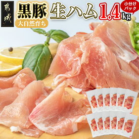【ふるさと納税】黒豚生ハム1.4kg - 宮崎県産 豚 生ハム 120g × 12パック 真空 小分け パック 冷凍 都城産 黒豚 豚肉 加工品 食品 つまみ おつまみ 酒のお供 酒の肴 女子会 パーティー 国産 送料無料 MJ-2519【宮崎県都城市は2年連続ふるさと納税日本一！】