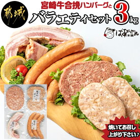 【ふるさと納税】宮崎牛合挽ハンバーグとバラエティ3kgセット - ジューシーな合挽ハンバーグ(160g×10) ブランドポーク 観音池ポークの豚バーグ(100g×8個) トンバーグ ベーコン チーズ入りフランク 送料無料 AD-1501【宮崎県都城市は令和4年度ふるさと納税日本一！】