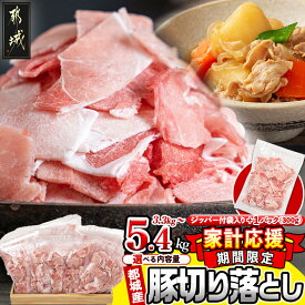 【ふるさと納税】【期間限定☆家計応援】内容量が選べる！都城産豚切り落とし(ジッパー付袋入り) - 切落とし 300グラム 小分け ウデ肉/モモ肉 豚肉 小分け 使いやすい 3.3kg/4.2kg/5.4kg 焼きそば カレー 送料無料 SKU-1522【宮崎県都城市は2年連続ふるさと納税日本一！】