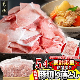 【ふるさと納税】【期間限定☆家計応援】内容量が選べる！都城産豚切り落とし(ジッパー付袋入り) - 切落とし 300グラム 小分け ウデ肉/モモ肉 豚肉 小分け 使いやすい 3.3kg/4.2kg/5.4kg 焼きそば カレー 送料無料 SKU-1522【宮崎県都城市は2年連続ふるさと納税日本一！】