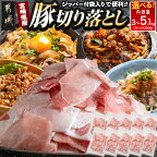 国産豚切り落とし5.1kg(ジッパー付袋入り) - 切落とし(300グラム×17パック) チャック付き 小分け ウデ肉/モモ肉 送料無料 16-1502 【宮崎県都城市は令和4年度ふるさと納税日本一！】