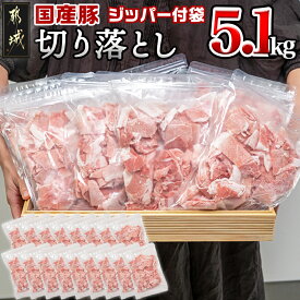 【ふるさと納税】【お届け月が選べる】国産豚切り落とし5.1kg(ジッパー付袋入り) - 切落とし(300グラム×17パック) チャック付き 小分け ウデ肉/モモ肉 送料無料 16-1502 【宮崎県都城市は令和4年度ふるさと納税日本一！】