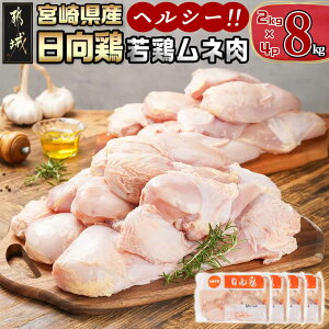 yӂ邳Ɣ[ŁzyeʂIׂIzyƖpz{ {l - Iׂe l 6kg/8kg {茧Y { e Ⓚz ꖇ Jbg { 2kgpbN  SKU-1513 y{