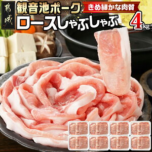 yӂ邳Ɣ[ŁzyeʂIׂIzωr|[Ñ[XԂ - sYωr|[N [XԂ 2kg/4kg Iׂe {茧uh|[NF ԂԗpXC