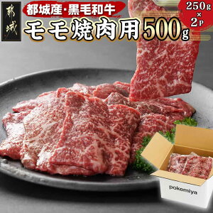 yӂ邳Ɣ[Łzјaēp500g - sY  250g×2P  Ă  ^pbN Ⓚz Ԑg gȂԐg ₫  Y Yјa  14-3302 y{