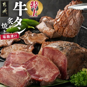 yӂ邳Ɣ[ŁzyIׂIz⋍^ЂtĂ1{ - ^ Ђ ԂĂ 10ȓ/ ^ ^ ubN イ  16-3303 y{茧s