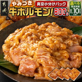 【ふるさと納税】【発送時期が選べる！】やみつき牛ホルモン800g！(真空小分け) - 味付きホルモン 200g×4P 真空 小分け ホルモン 味付き 焼くだけ 特急便もあり 冷凍 お届け時期が選べる 送料無料 LG8-3307【宮崎県都城市は2年連続ふるさと納税日本一！】