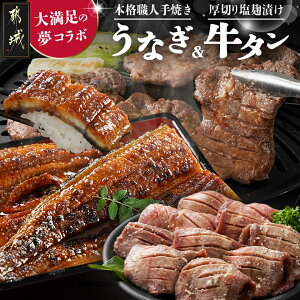 yӂ邳Ɣ[ŁzyIׂIz喞̖R{Ȃ؂苍^Zbg - 悭΂Zbg YȂ V̊ 2 ؂ ^ 10ȓ/ 󂠂Hi 傫` s