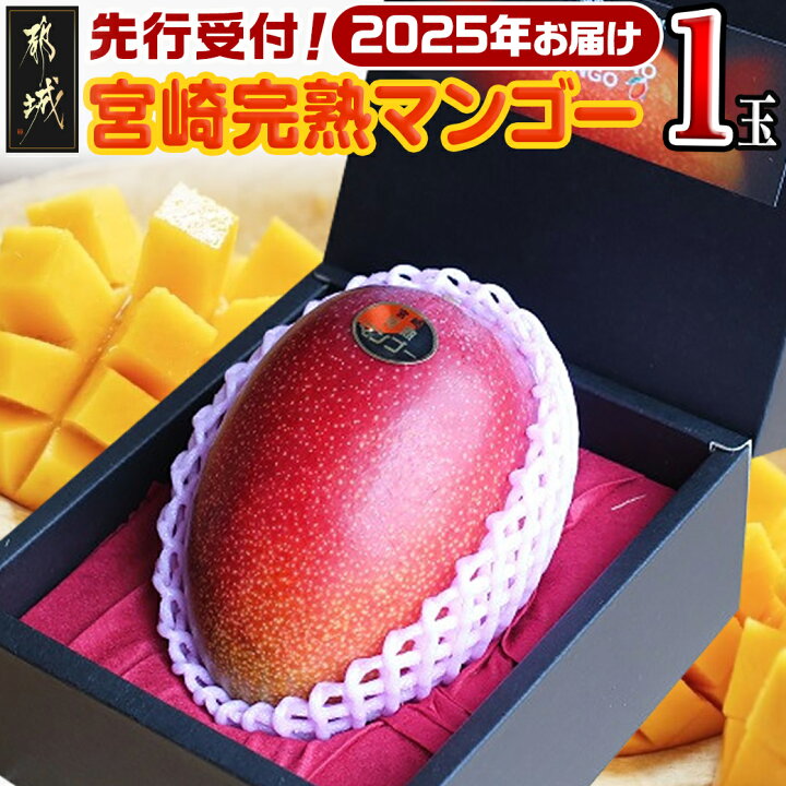 ◇宮崎県産 完熟マンゴー（9玉） にく