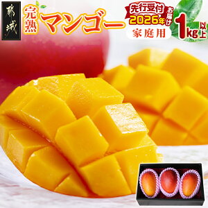yӂ邳Ɣ[Łzys\Iz{芮n}S[ƒp1kgȏ(sY) - 4LTCY(500gȏ)2 L`3LTCY3ʁ`5ʂȂǑg킹ōv1kgȏ }S[ KiO Ԍ st 