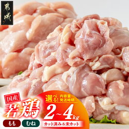 【ふるさと納税】高評価★4.83【セット内容＆発送時期が...