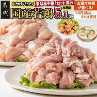 【ふるさと納税】【お届け時期が選べる！】国産若鶏5.1kg 小分けパック！...