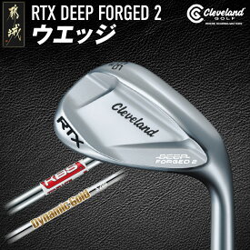 【ふるさと納税】RTX DEEP FORGED 2 ウエッジ≪2023年モデル≫ - DUNLOP ウエッジ 2023NEWモデル ダイナミックゴールド スチールシャフト 送料無料 DI-C707【宮崎県都城市は2年連続ふるさと納税日本一！】