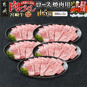 yӂ邳Ɣ[ŁzypbNIׂIzyÂsz{苍[Xēpy300gz - yV sY {苍 [Xē 300g×1P/2P/3P/4P/5P ͂   Ă A5 [X Ⓚ 