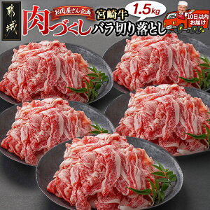 yӂ邳Ɣ[ŁzypbNIׂIzyÂsz{苍(A5)o؂藎Ƃy300gz - yV {苍 {苍؂藎Ƃ IׂpbN 300g×1P/2P/3P/4P/5P  A5 uh 