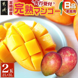 【ふるさと納税】【先行予約！】宮崎県産完熟マンゴー(B品)【2L×1玉、3L×1玉】≪2026年5月中旬以降順次お届け≫ - 宮崎マンゴー B品 2Lサイズ(約350g)1玉入り 3Lサイズ(約450g)1玉入り 先行受付 送料無料 21-0101【宮崎県都城市は2年連続ふるさと納税日本一！】
