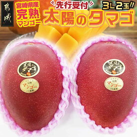【ふるさと納税】【先行予約！】宮崎県産完熟マンゴー 太陽のタマゴ【3L×2玉】化粧箱入り≪2026年5月中旬以降順次お届け≫ - マンゴー 太陽のタマゴ 糖度15度以上 化粧箱入り 期間限定 先行受付 送料無料 AF-0115【宮崎県都城市は2年連続ふるさと納税日本一！】