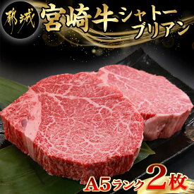 【ふるさと納税】宮崎牛シャトーブリアン(A5)150g×2枚≪真空≫ - 都城産宮崎牛 国産牛肉 ビーフステーキ ステーキソース小袋 塩こしょう小袋 ギフト 贈答用 お中元 敬老の日 送料無料 AI-0103【宮崎県都城市は2年連続ふるさと納税日本一！】