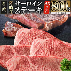 yӂ邳Ɣ[ŁzyIׂIz{苍(A5)T[CXe[L - ~Xe[Lp ō5 Yјa Iׂ閇 2/4 Mtg p  SKU-0117y{茧ss2
