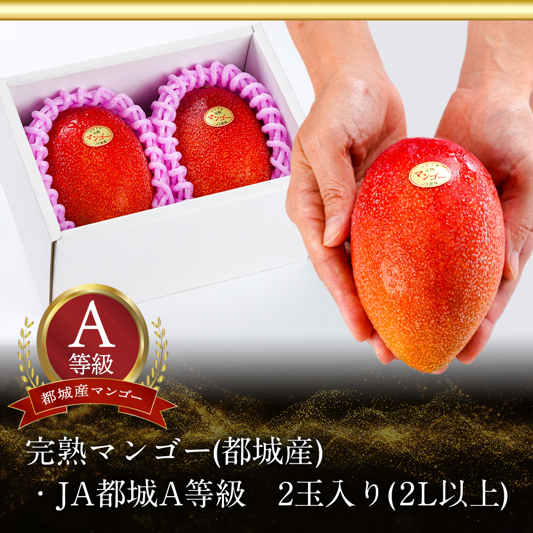 ブランドのアイテムを 宮崎産 完熟マンゴー 10個 3.9kg - 食品