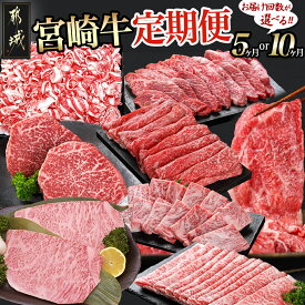 【ふるさと納税】【お届け回数が選べる！】宮崎牛定期便 - ブランド牛肉 国産黒毛和牛 赤身 バラ 切り落とし サーロインステーキ 焼き肉 様々な宮崎牛の部位をお届け 送料無料 SKUT-0101【宮崎県都城市は令和4年度ふるさと納税日本一！】